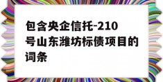 包含央企信托-210号山东潍坊标债项目的词条