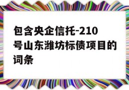 包含央企信托-210号山东潍坊标债项目的词条