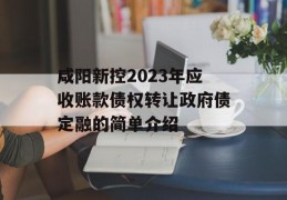 咸阳新控2023年应收账款债权转让政府债定融的简单介绍