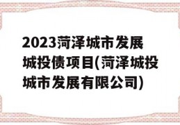 2023菏泽城市发展城投债项目(菏泽城投城市发展有限公司)