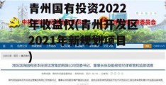 青州国有投资2022年收益权(青州开发区2021年新规划项目)