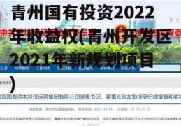 青州国有投资2022年收益权(青州开发区2021年新规划项目)