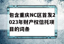 包含重庆NC区首发2023年财产权信托项目的词条