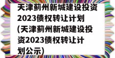 天津蓟州新城建设投资2023债权转让计划(天津蓟州新城建设投资2023债权转让计划公示)