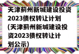 天津蓟州新城建设投资2023债权转让计划(天津蓟州新城建设投资2023债权转让计划公示)