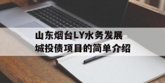 山东烟台LY水务发展城投债项目的简单介绍