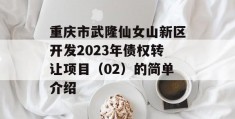 重庆市武隆仙女山新区开发2023年债权转让项目（02）的简单介绍