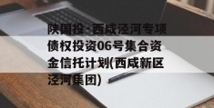 陕国投·西咸泾河专项债权投资06号集合资金信托计划(西咸新区泾河集团)