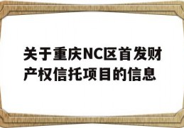 关于重庆NC区首发财产权信托项目的信息