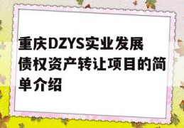 重庆DZYS实业发展债权资产转让项目的简单介绍