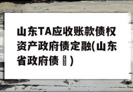 山东TA应收账款债权资产政府债定融(山东省政府债劵)