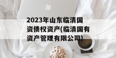 2023年山东临清国资债权资产(临清国有资产管理有限公司)