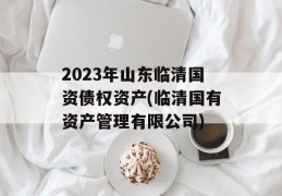 2023年山东临清国资债权资产(临清国有资产管理有限公司)