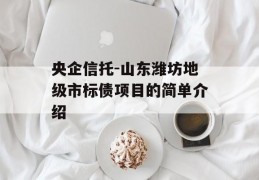 央企信托-山东潍坊地级市标债项目的简单介绍