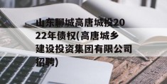 山东聊城高唐城投2022年债权(高唐城乡建设投资集团有限公司招聘)