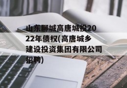 山东聊城高唐城投2022年债权(高唐城乡建设投资集团有限公司招聘)