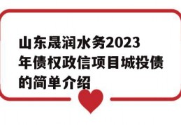 山东晟润水务2023年债权政信项目城投债的简单介绍