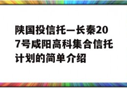 陕国投信托—长秦207号咸阳高科集合信托计划的简单介绍