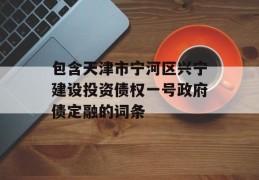 包含天津市宁河区兴宁建设投资债权一号政府债定融的词条