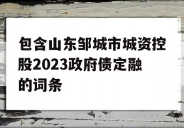 包含山东邹城市城资控股2023政府债定融的词条