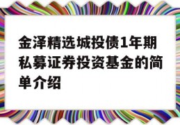 金泽精选城投债1年期私募证券投资基金的简单介绍