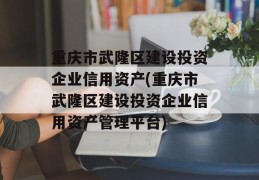 重庆市武隆区建设投资企业信用资产(重庆市武隆区建设投资企业信用资产管理平台)