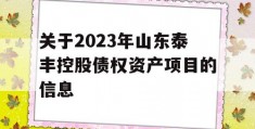 关于2023年山东泰丰控股债权资产项目的信息