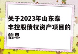 关于2023年山东泰丰控股债权资产项目的信息