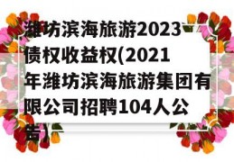 潍坊滨海旅游2023债权收益权(2021年潍坊滨海旅游集团有限公司招聘104人公告)