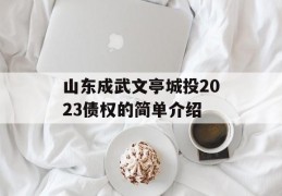 山东成武文亭城投2023债权的简单介绍