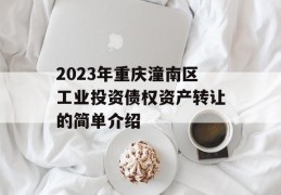 2023年重庆潼南区工业投资债权资产转让的简单介绍