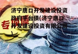 济宁唐口开发建设投资政府平台债(济宁唐口开发建设投资有限公司)