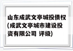 山东成武文亭城投债权(成武文亭城市建设投资有限公司 评级)