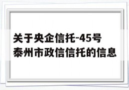 关于央企信托-45号泰州市政信信托的信息