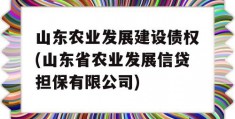 山东农业发展建设债权(山东省农业发展信贷担保有限公司)