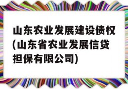 山东农业发展建设债权(山东省农业发展信贷担保有限公司)