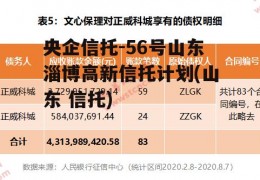 央企信托-56号山东淄博高新信托计划(山东 信托)