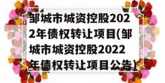 邹城市城资控股2022年债权转让项目(邹城市城资控股2022年债权转让项目公告)