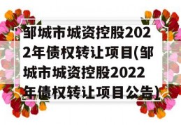 邹城市城资控股2022年债权转让项目(邹城市城资控股2022年债权转让项目公告)