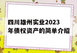 四川雄州实业2023年债权资产的简单介绍