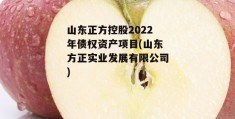 山东正方控股2022年债权资产项目(山东方正实业发展有限公司)