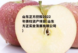 山东正方控股2022年债权资产项目(山东方正实业发展有限公司)