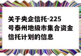 关于央企信托-225号泰州地级市集合资金信托计划的信息