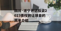 四川·遂宁开达投资2023债权转让项目的简单介绍