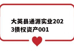 大英县通源实业2023债权资产001