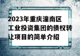 2023年重庆潼南区工业投资集团的债权转让项目的简单介绍