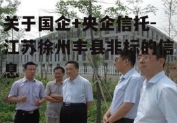 关于国企+央企信托-江苏徐州丰县非标的信息