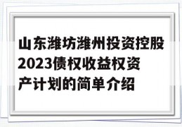 山东潍坊潍州投资控股2023债权收益权资产计划的简单介绍