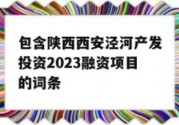 包含陕西西安泾河产发投资2023融资项目的词条