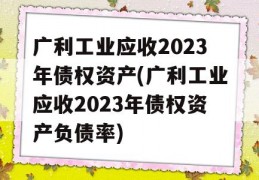 广利工业应收2023年债权资产(广利工业应收2023年债权资产负债率)